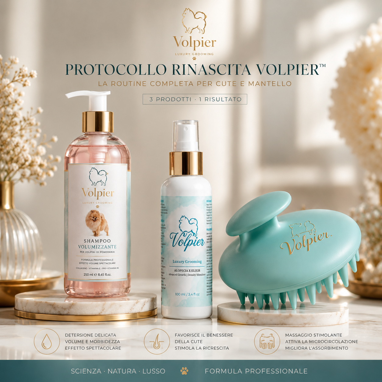 Protocollo Rinascita Volpier™