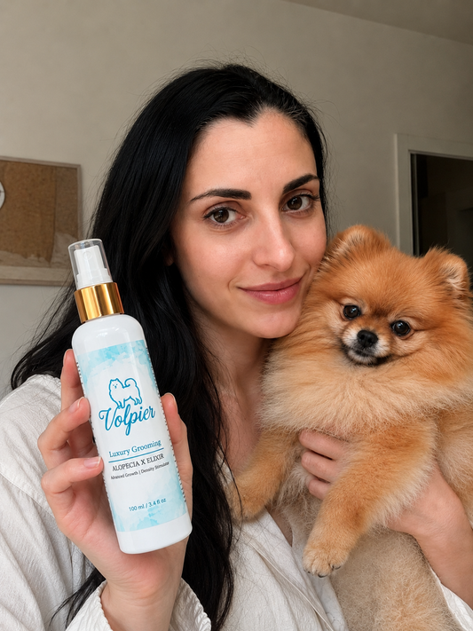 Alopecia X e Dermatologia Veterinaria: Cosa dicono gli esperti in Italia