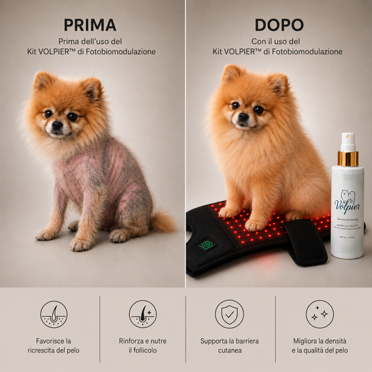 Fotobiomodulazione e Sinergia Topica: Accelerare la Ricrescita del Pelo nell'Alopecia X con Luce Rossa e Volpier