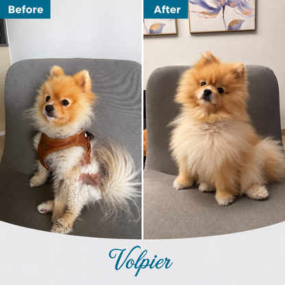 Volpier Elixir ™ Alopecia X lotion