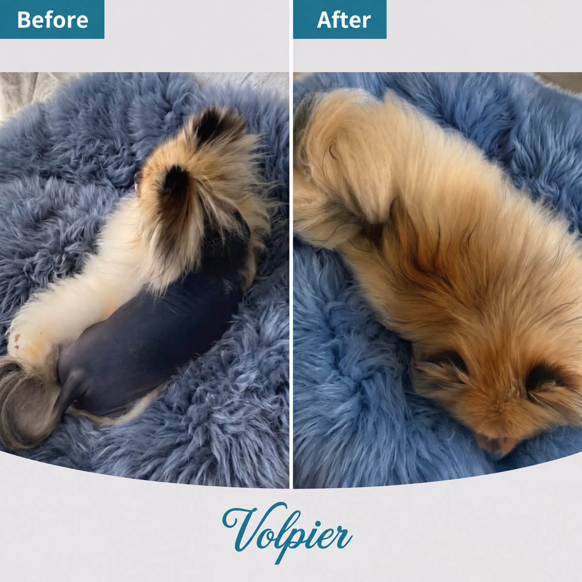 Volpier Elixir ™ Alopecia X lotion