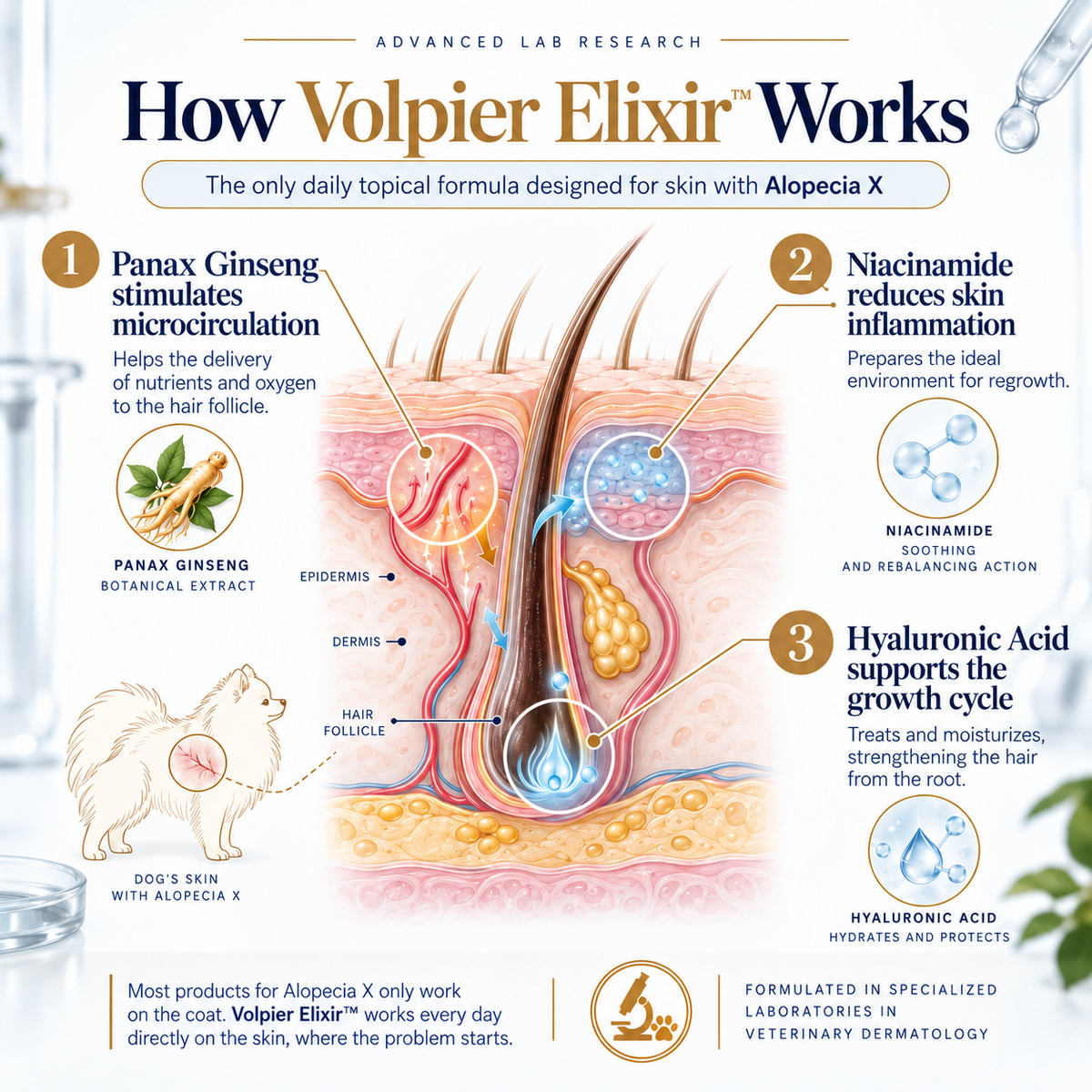 Volpier Elixir ™ Alopecia X lotion