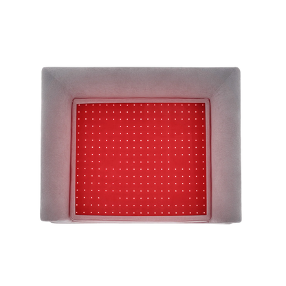 Volpier Advanced Photobiomodulation Dog Bed
